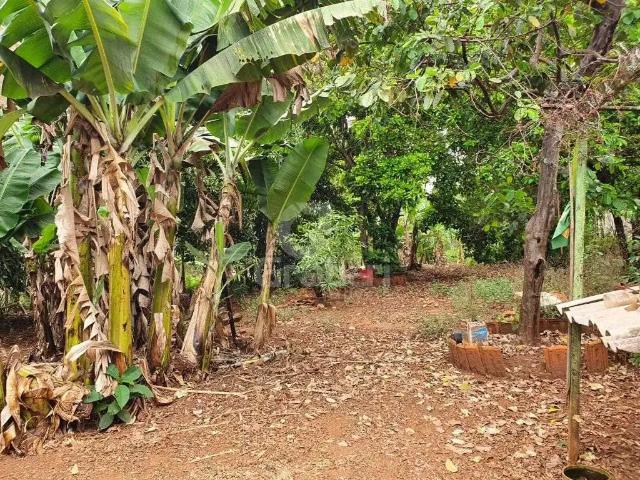 Terreno venda em Região Imediata de Araraquara, Araraquara