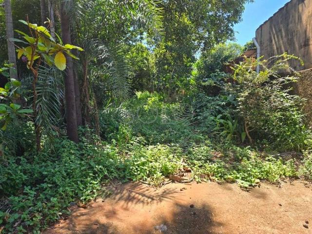 Terreno venda em Região Imediata de Araraquara, Araraquara