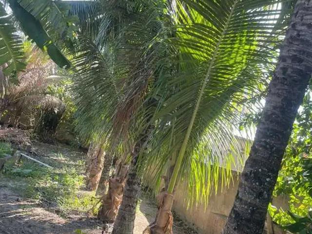 Terreno venda em Região Geográfica Imediata de Cabo Frio, Araruama
