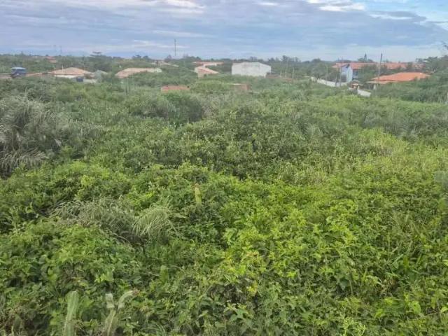 Terreno venda em Região Geográfica Imediata de Cabo Frio, Araruama