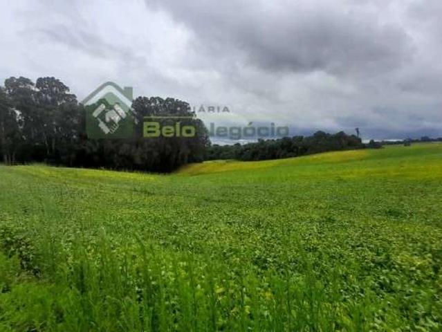 Terreno venda em Araucária, Região Geográfica Intermediária de Curitiba
