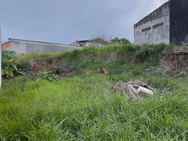 Terreno venda em Araucária, Região Geográfica Intermediária de Curitiba