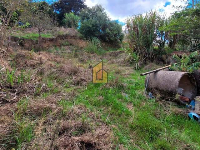 Terreno venda em Araucária, Região Geográfica Intermediária de Curitiba