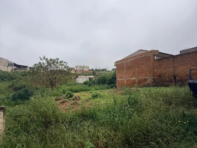 Terreno venda em Araucária, Região Geográfica Intermediária de Curitiba
