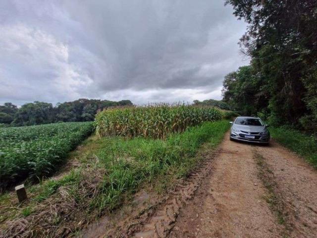 Terreno venda em Região Geográfica Imediata de Curitiba, Região Metropolitana de Curitiba