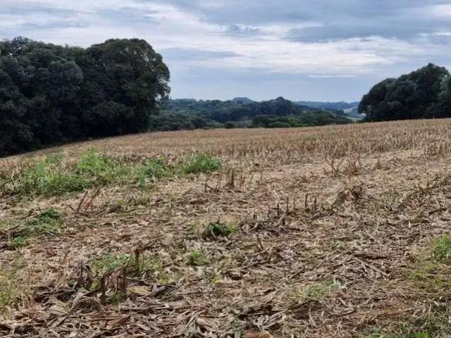 Sítio e chácara venda em Araucária, Região Geográfica Intermediária de Curitiba