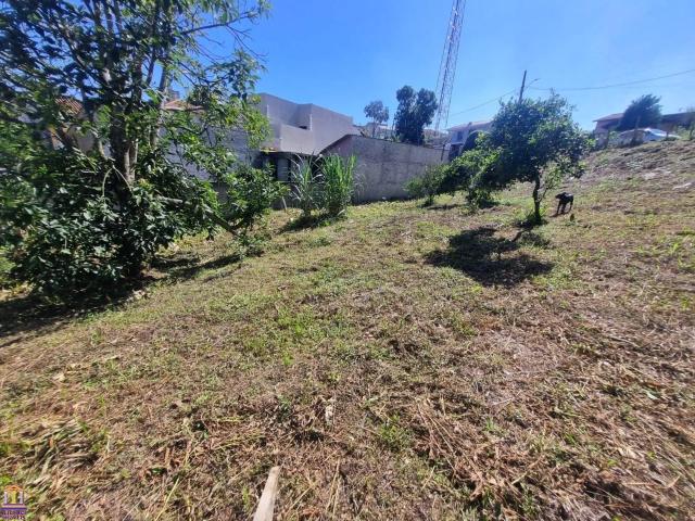 Terreno venda em Araucária, Região Geográfica Intermediária de Curitiba
