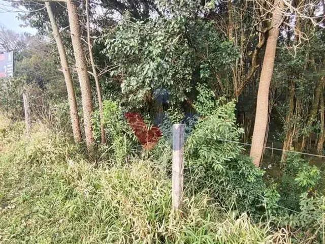Terreno venda em Araucária, Região Geográfica Intermediária de Curitiba