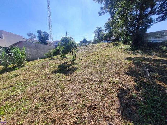 Terreno venda em Araucária, Região Geográfica Intermediária de Curitiba