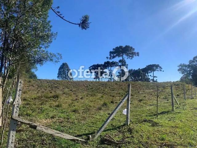 Terreno venda em Região Geográfica Imediata de Curitiba, Região Metropolitana de Curitiba