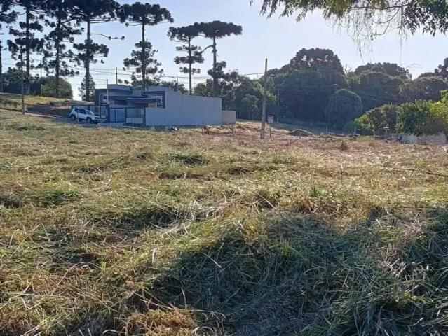 Terreno venda em Região Geográfica Imediata de Curitiba, Região Metropolitana de Curitiba