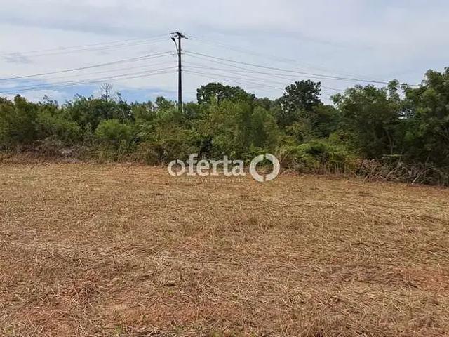 Terreno venda em Araucária, Região Geográfica Intermediária de Curitiba
