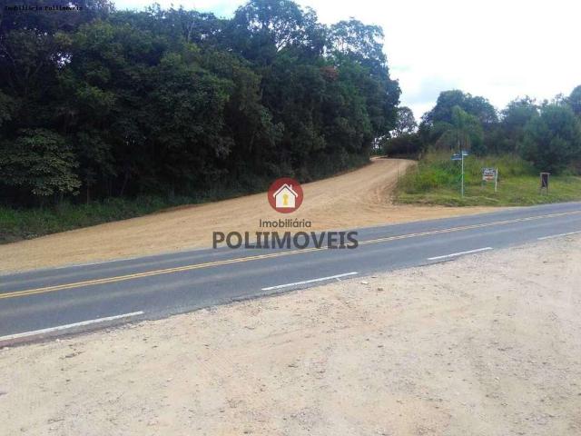 Terreno venda em Colônia Cristina, Araucária