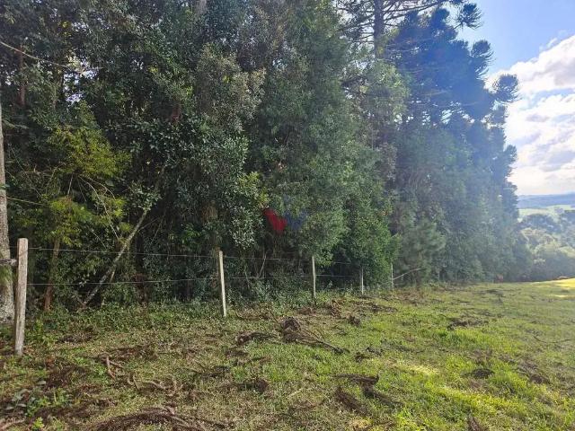 Terreno venda em Araucária, Região Geográfica Intermediária de Curitiba