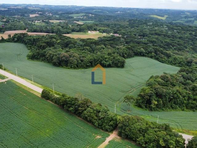 Terreno venda em Araucária, Região Geográfica Intermediária de Curitiba