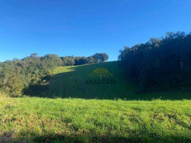 Terreno venda em Região Geográfica Imediata de Curitiba, Região Metropolitana de Curitiba