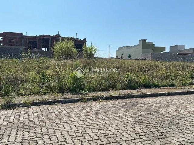 Terreno venda em Arroio do Meio