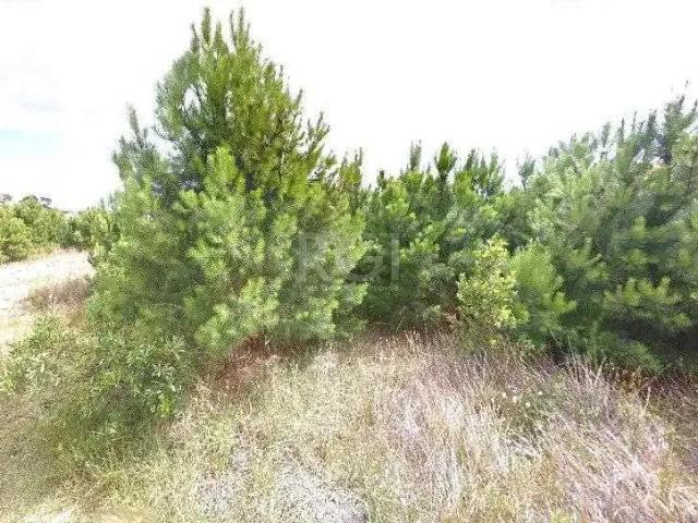 Terreno venda em Região Geográfica Imediata de Torres, Aglomeração Urbana do Litoral Norte