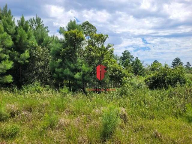 Terreno venda em Região Geográfica Imediata de Torres, Aglomeração Urbana do Litoral Norte