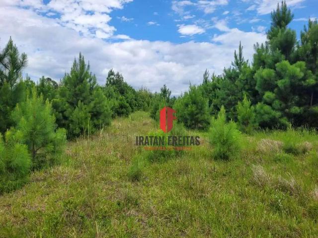 Terreno venda em Região Geográfica Imediata de Torres, Aglomeração Urbana do Litoral Norte