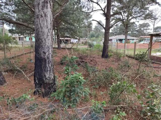 Terreno venda em Região Geográfica Imediata de Torres, Aglomeração Urbana do Litoral Norte