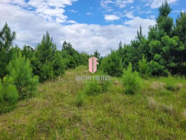 Terreno venda em Região Geográfica Imediata de Torres, Aglomeração Urbana do Litoral Norte