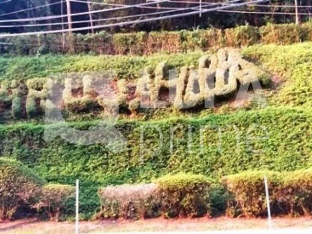 Terreno venda em Jardim Via Dutra, Arujá