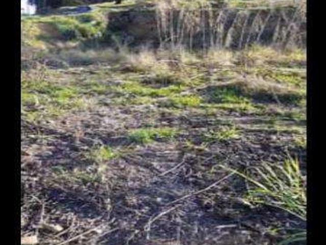 Terreno venda em Cotia