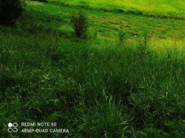 Terreno venda em Santa Isabel