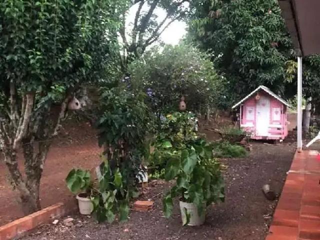 Terreno venda em Região Geográfica Imediata de Chapecó, Arvoredo
