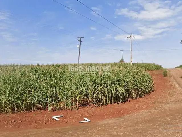 Terreno venda em Região Geográfica Imediata de Londrina, Assaí