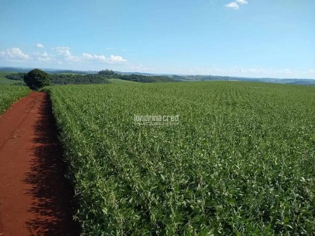Terreno venda em Região Geográfica Imediata de Londrina, Assaí