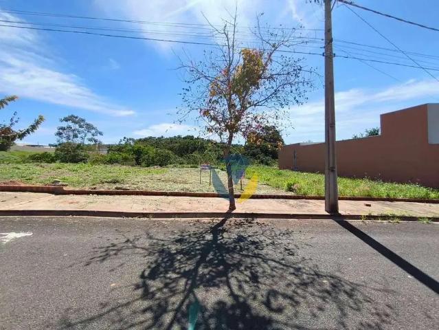 Terreno venda em Região Imediata de Assis, Assis