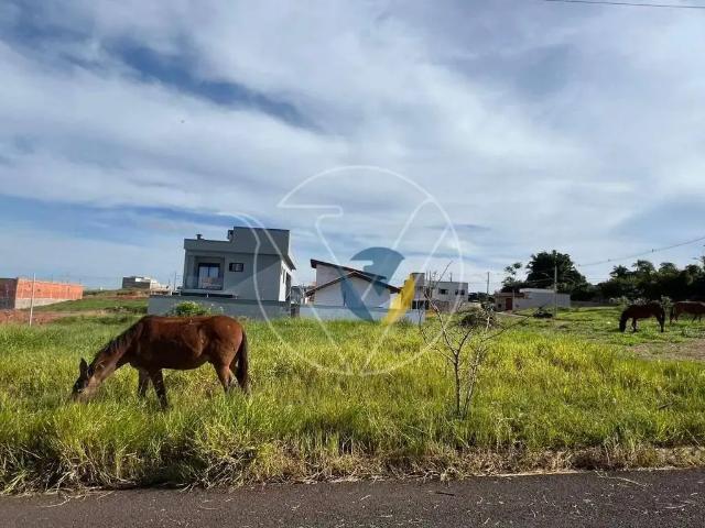 Terreno venda em Região Imediata de Assis, Assis