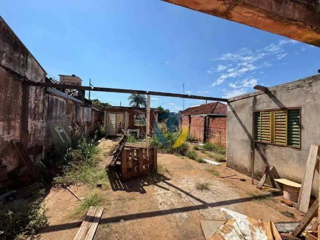 Terreno venda em Região Imediata de Assis, Assis
