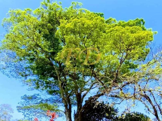 Terreno venda em Atibaia