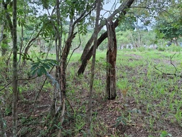 Terreno venda em Vila São José, Atibaia