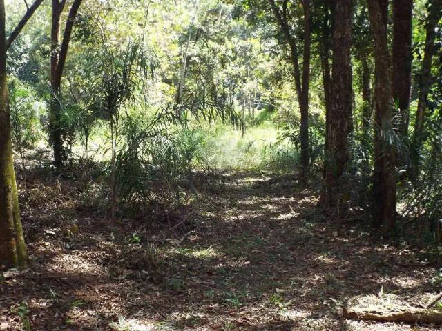 Terreno venda em Região Imediata de Bragança Paulista, Atibaia