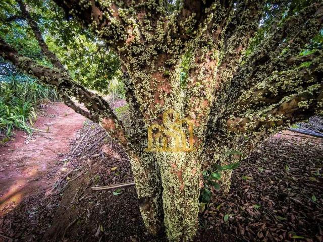 Terreno venda em Região Imediata de Bragança Paulista, Atibaia