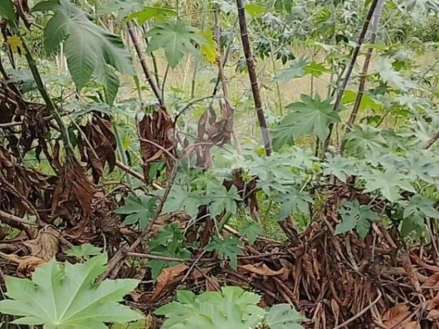 Terreno venda em Atibaia