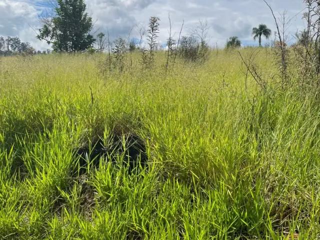 Terreno venda em Região Imediata de Bragança Paulista, Atibaia