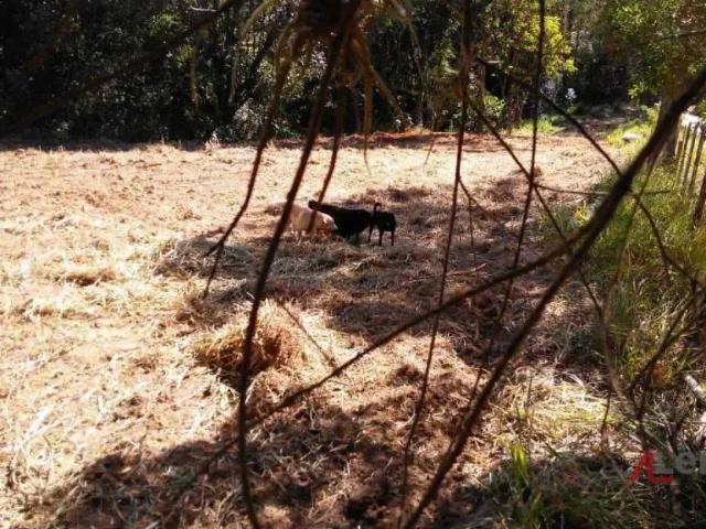 Terreno venda em Região Imediata de Bragança Paulista, Atibaia