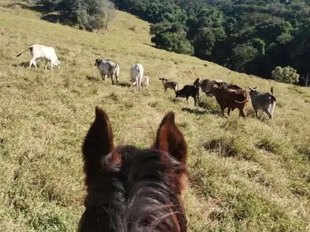 Terreno venda em Região Imediata de Bragança Paulista, Atibaia