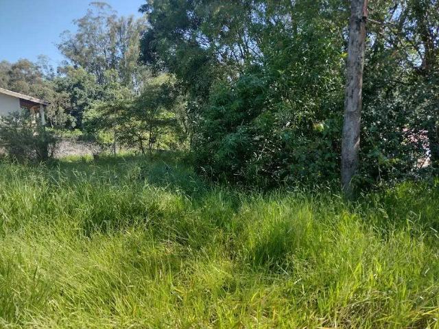 Terreno venda em Região Geográfica Imediata de Volta Redonda-Barra Mansa, Pinheiral