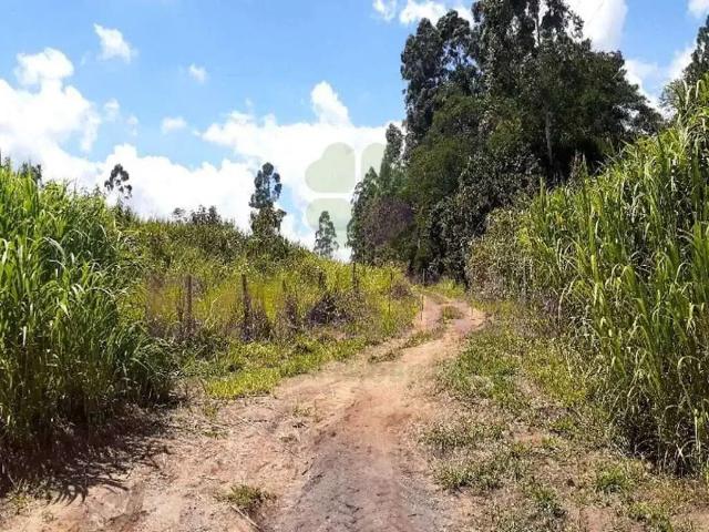 Terreno venda em Jarinu