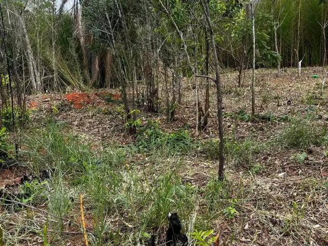 Terreno venda em Região Imediata de Bragança Paulista, Atibaia