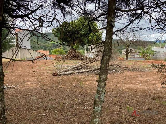 Terreno venda em Região Imediata de Barretos, Barretos