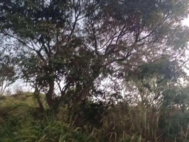 Terreno venda em Vila Nova Aclimação, Atibaia