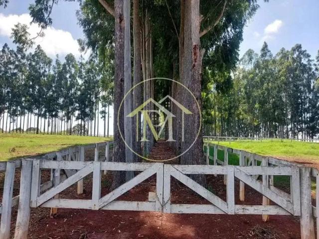 Terreno venda em Região Imediata de Avaré, Avaré