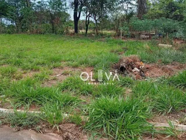 Terreno venda em Região Imediata de São José do Rio Preto, Região Metropolitana de São José do Rio Preto